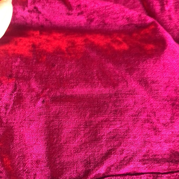 Stunning Pink Velvety FREE PEOPLE Women’s Pants size 29 - Picture 5 of 14